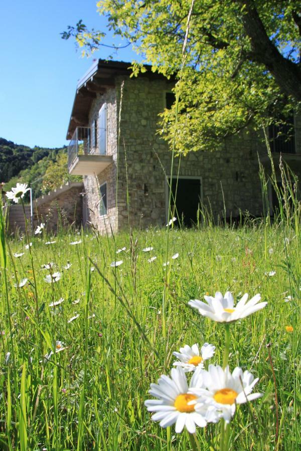 Ca Del Gari Villa Tremosine Exterior photo